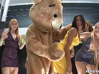 Dancing Bear baise Latina Kayla Carrera en fête de let pass chaude