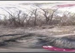PORNO VR: Trío caliente en el bosque dust-broom Anya Olsen y Courtney Taylor
